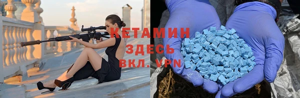 прущие грибы Абаза