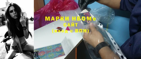 прущие грибы Абаза