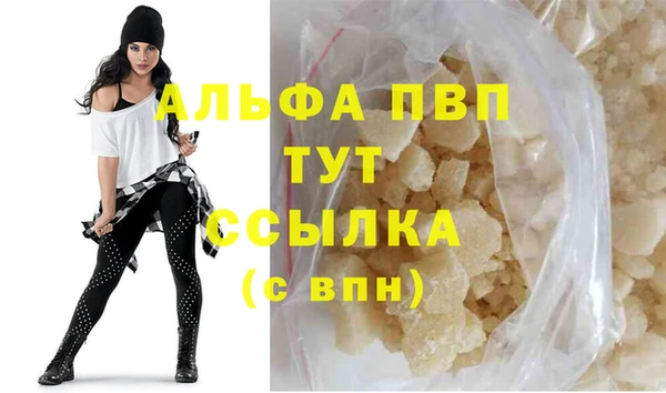 прущие грибы Абаза