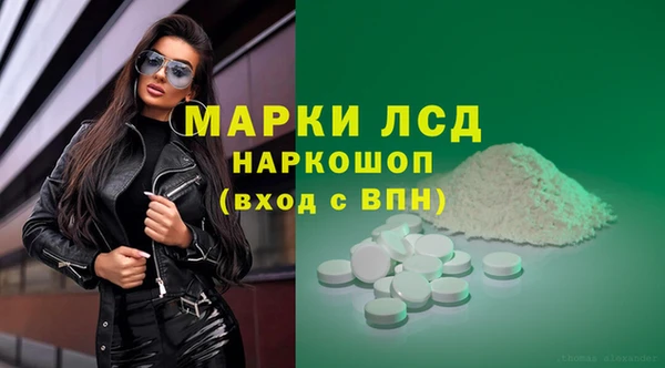 прущие грибы Абаза