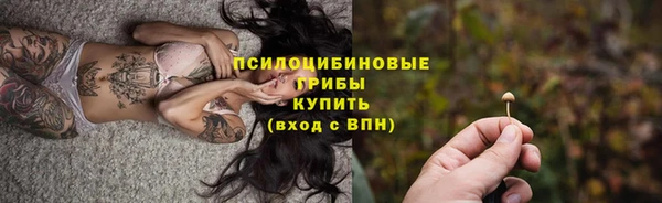 молекула духа Няндома