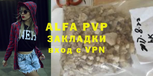 прущие грибы Абаза