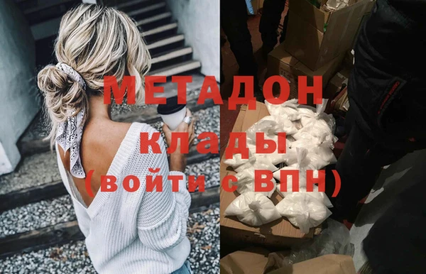 прущие грибы Абаза