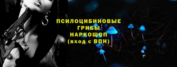 молекула духа Няндома