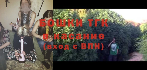 молекула духа Няндома