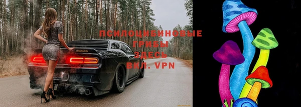 ECSTASY Абинск