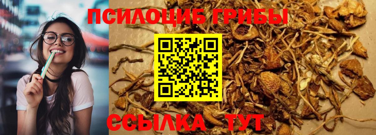 Меф кристаллы  Ялуторовск  ГАШИШ  Бошки Шишки  Купить наркоту  Альфа ПВП СОЛЬ кристаллы  Вход с VPN  КОКАИН  NBOMe 
